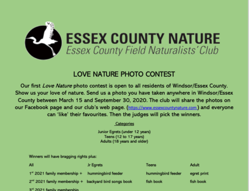 Love Nature photo contest